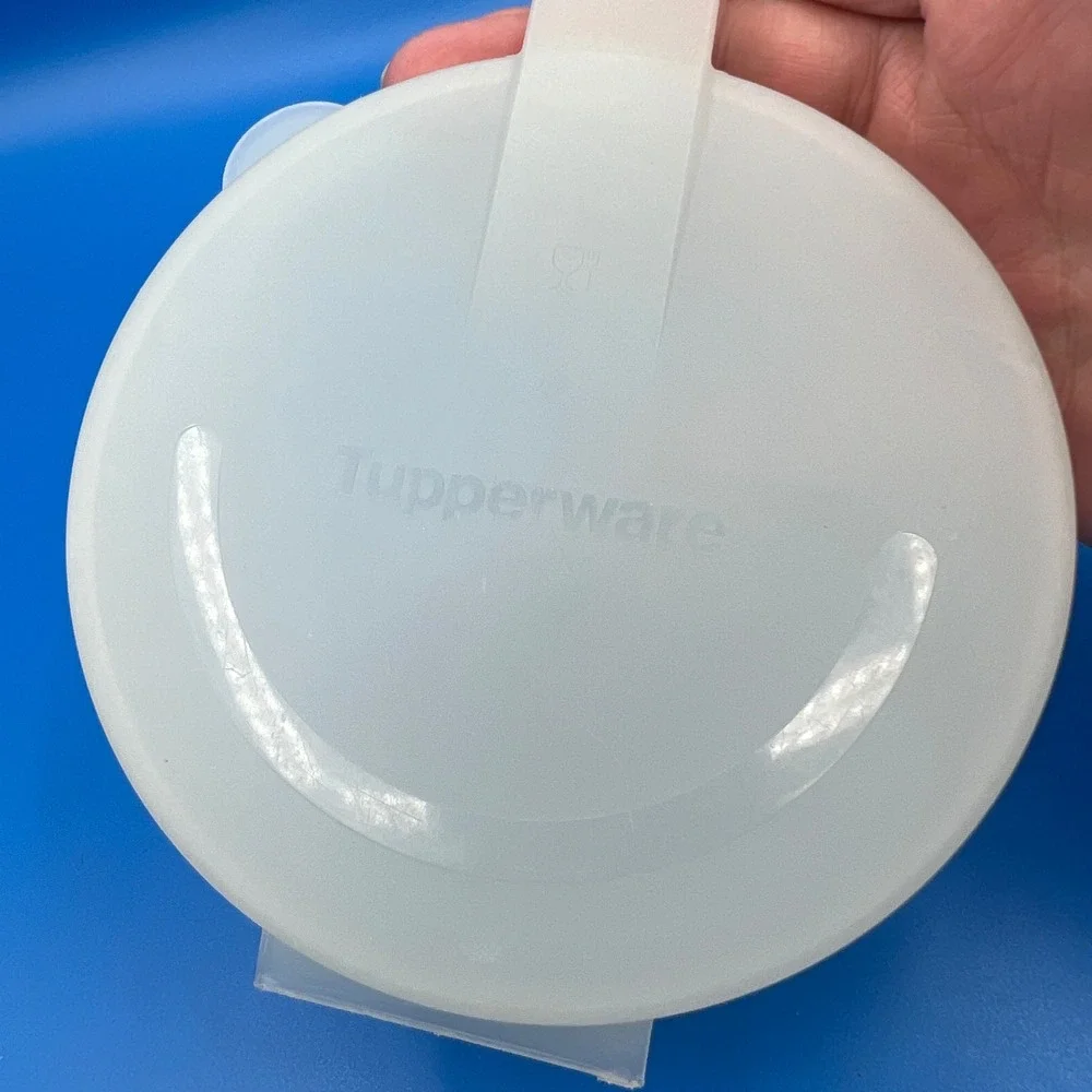 Tupperware Forget Me Not onion/tomato keeper hanger vtg